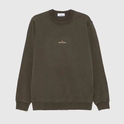 sweatshirt-K1S156100665S0083-stone-island-instinct-premium--kaki-1