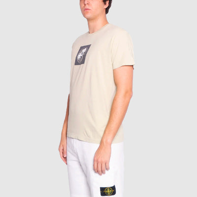 T-shirt en Coton à Imprimé Compass